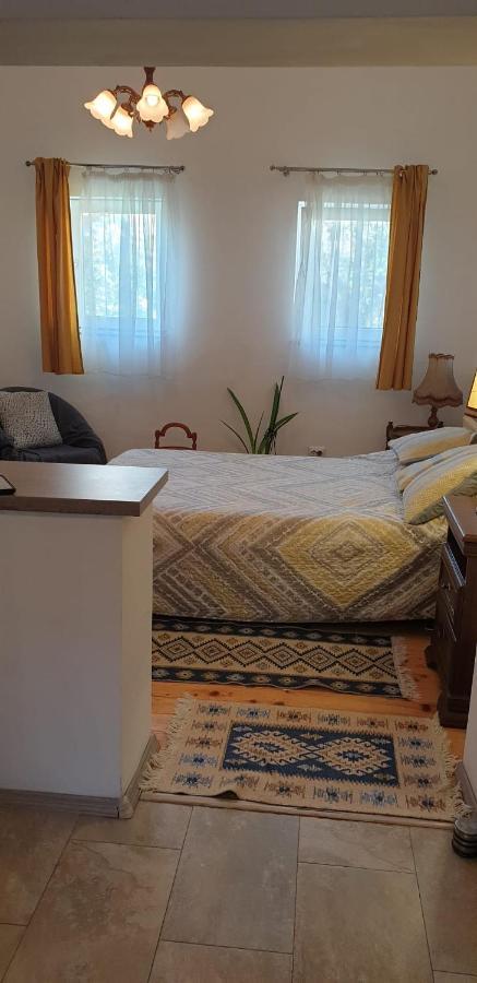 Cozy Home In The Heart Of Клуж-Напока Екстериор снимка